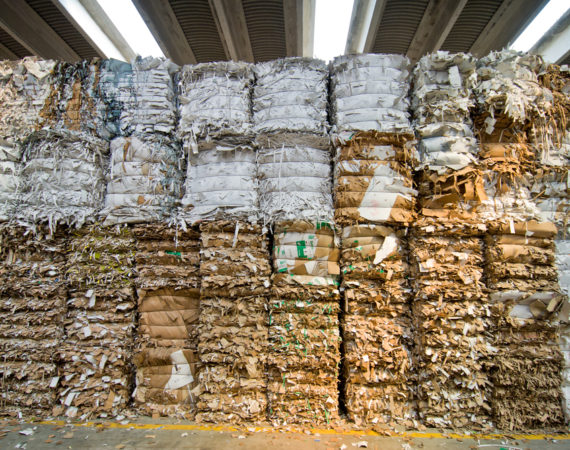 waste paper market