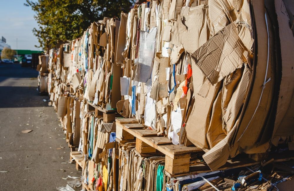 occ 11 waste paper price
