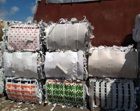 print paper cuttings