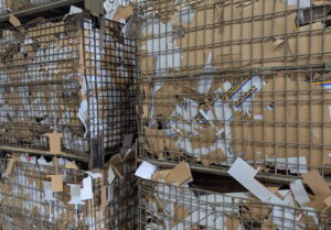 print paper cuttings Vancouver